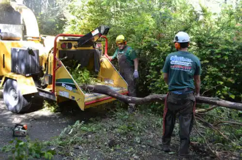 tree services Bowman